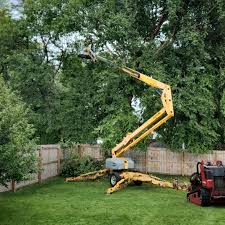 Best Tree Planting  in Ilchester, MD