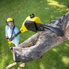 Best Utility Line Clearance  in Ilchester, MD