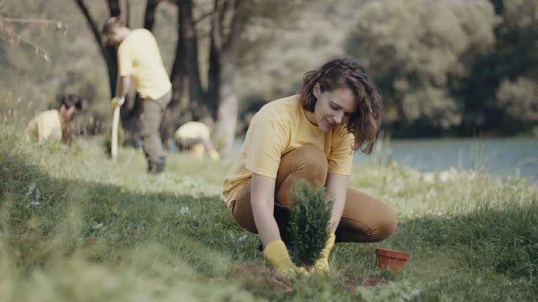 Best Lawn Mowing  in Ilchester, MD