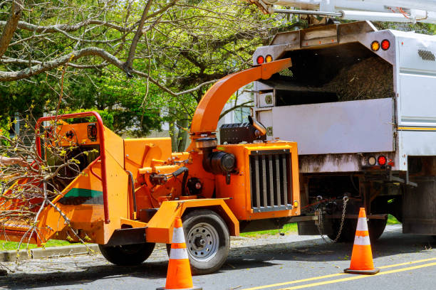 Best Tree Health Inspection  in Ilchester, MD